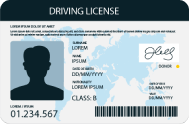 driver-licence